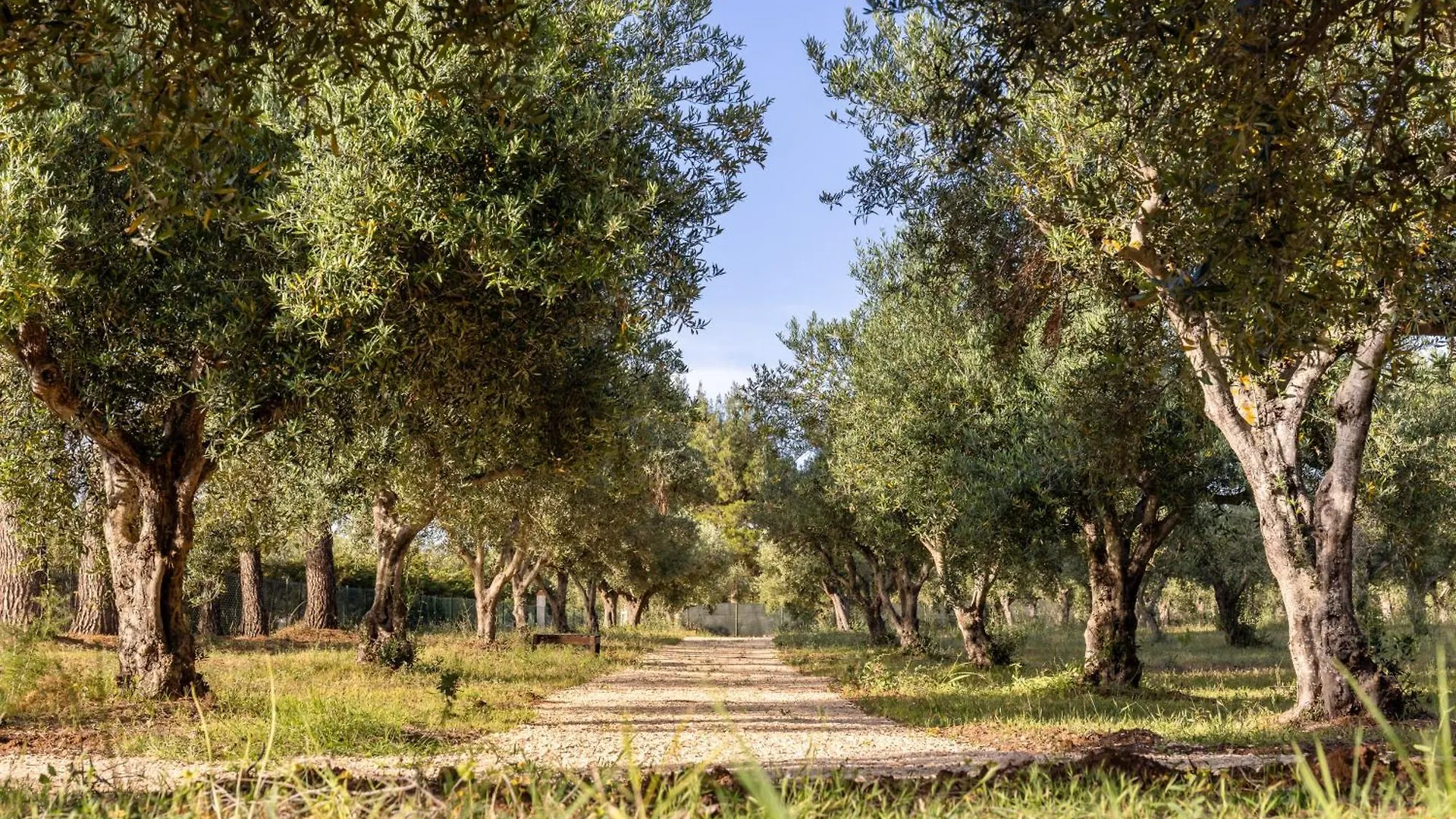 Tatil Evi Casa Lory - Castellammare Del Golfo A 3 Km Dalla Spiaggia Con Piscina